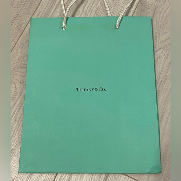 TIFFANY & CO.🩵10”x8”x4” BLUE EMPTY PAPER SHOPPING GIFT BAG *See Hole Damage - Picture 2 of 5